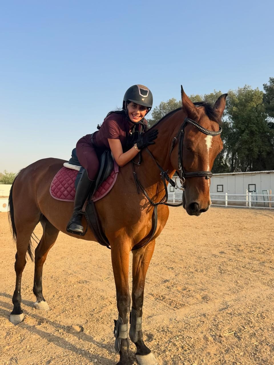 M11 Equestrian Club photo 3