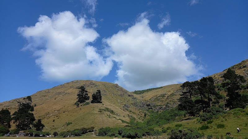 Sumnervale Reserve Playground photo 3