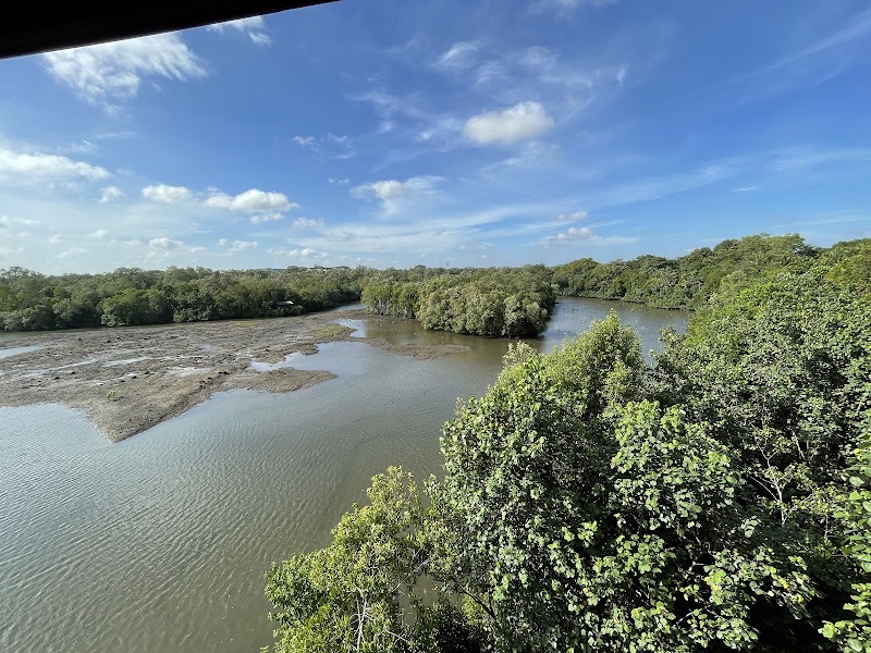 Sungei Buloh Wetland Reserve photo 3