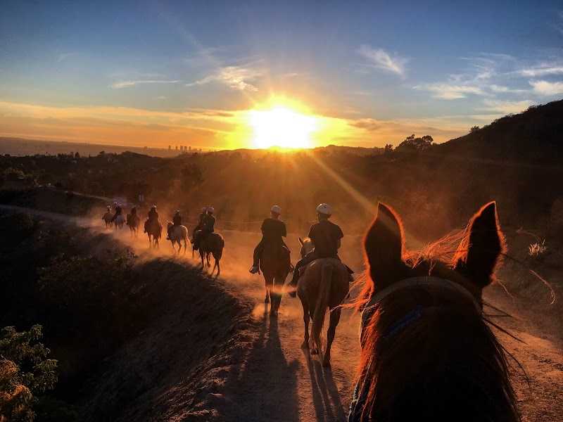 Sunset Ranch Hollywood photo 2