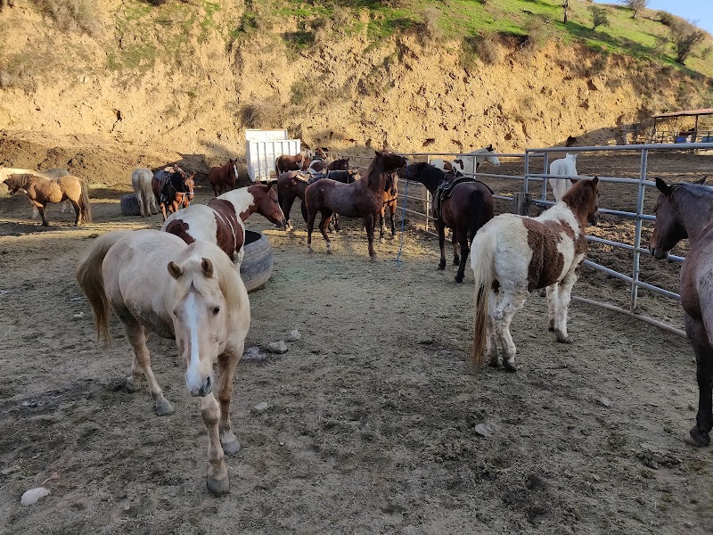 Sunset Ranch Hollywood photo 3