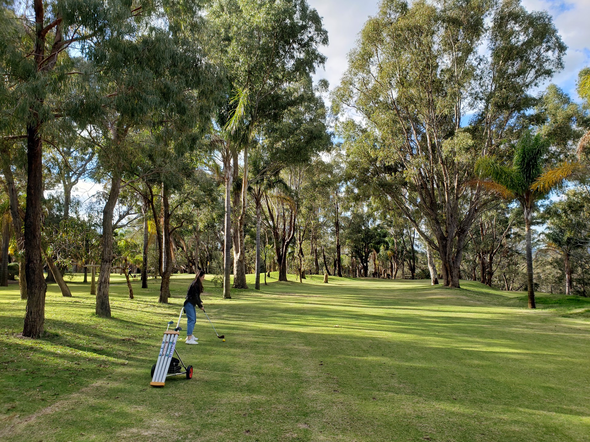 Supa Golf and Supa Putt photo 2