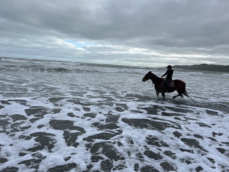Surf & Turf Horse Riding Raglan