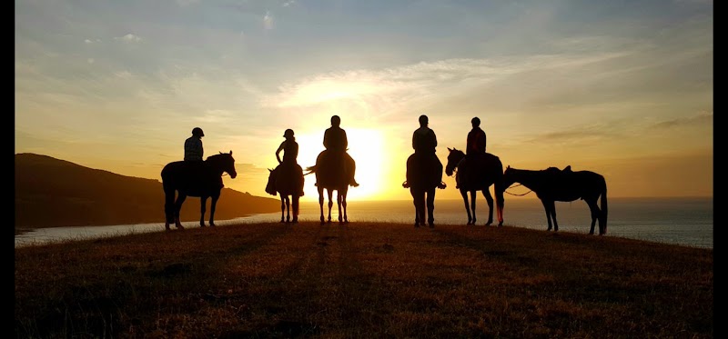 Surf & Turf Horse Riding Raglan photo 2