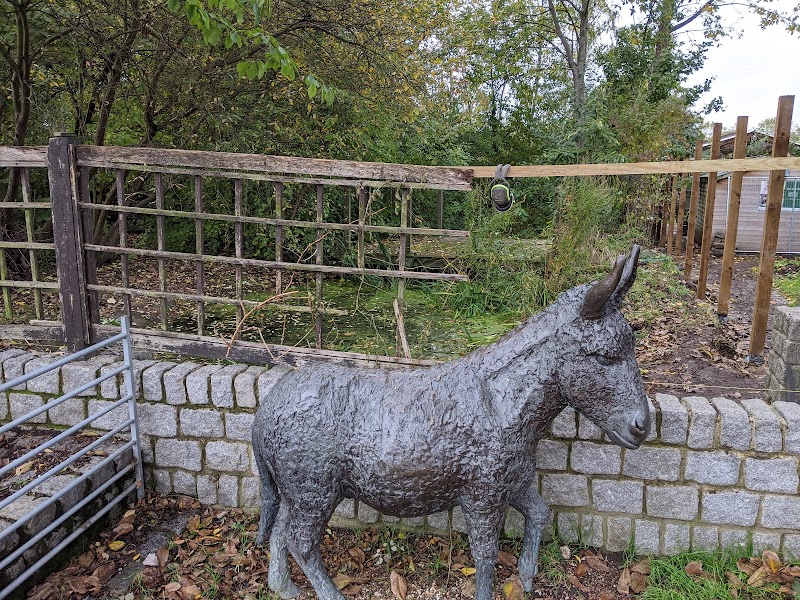 Surrey Docks Farm photo 2