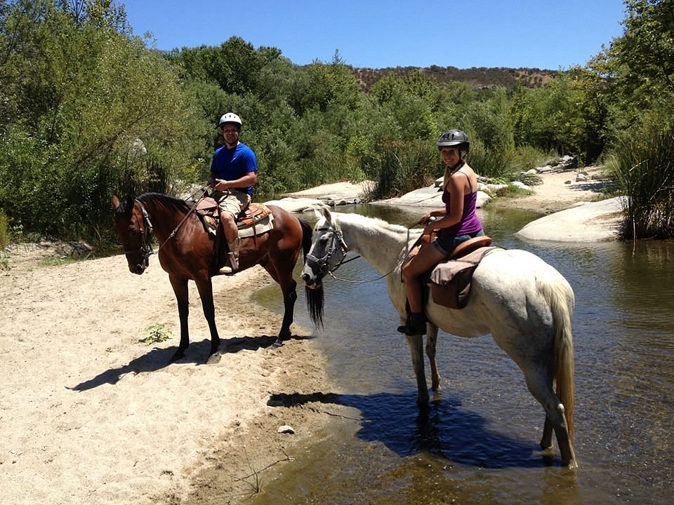 Susie Q Ranch