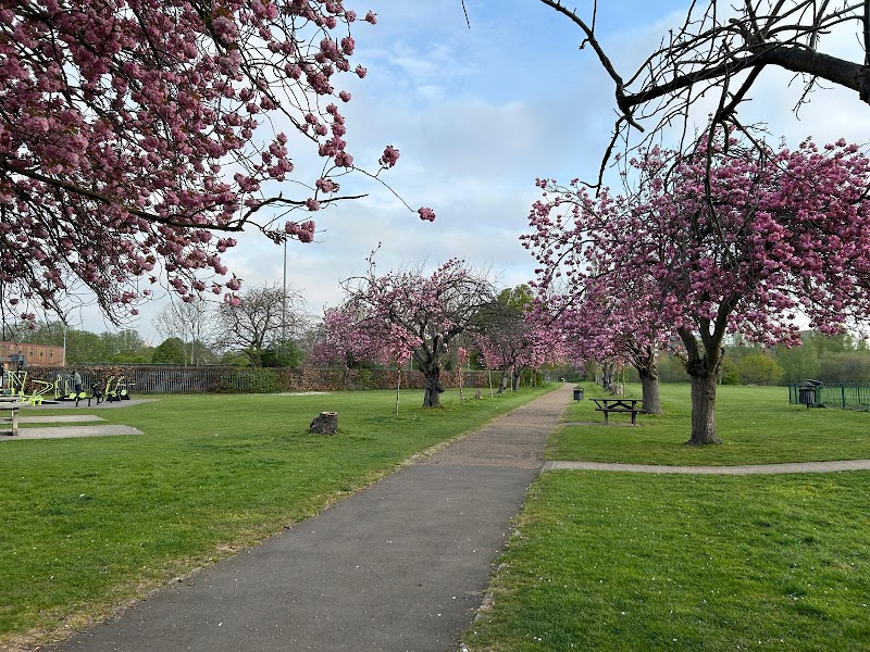 Sutcliffe Park small playground photo 3