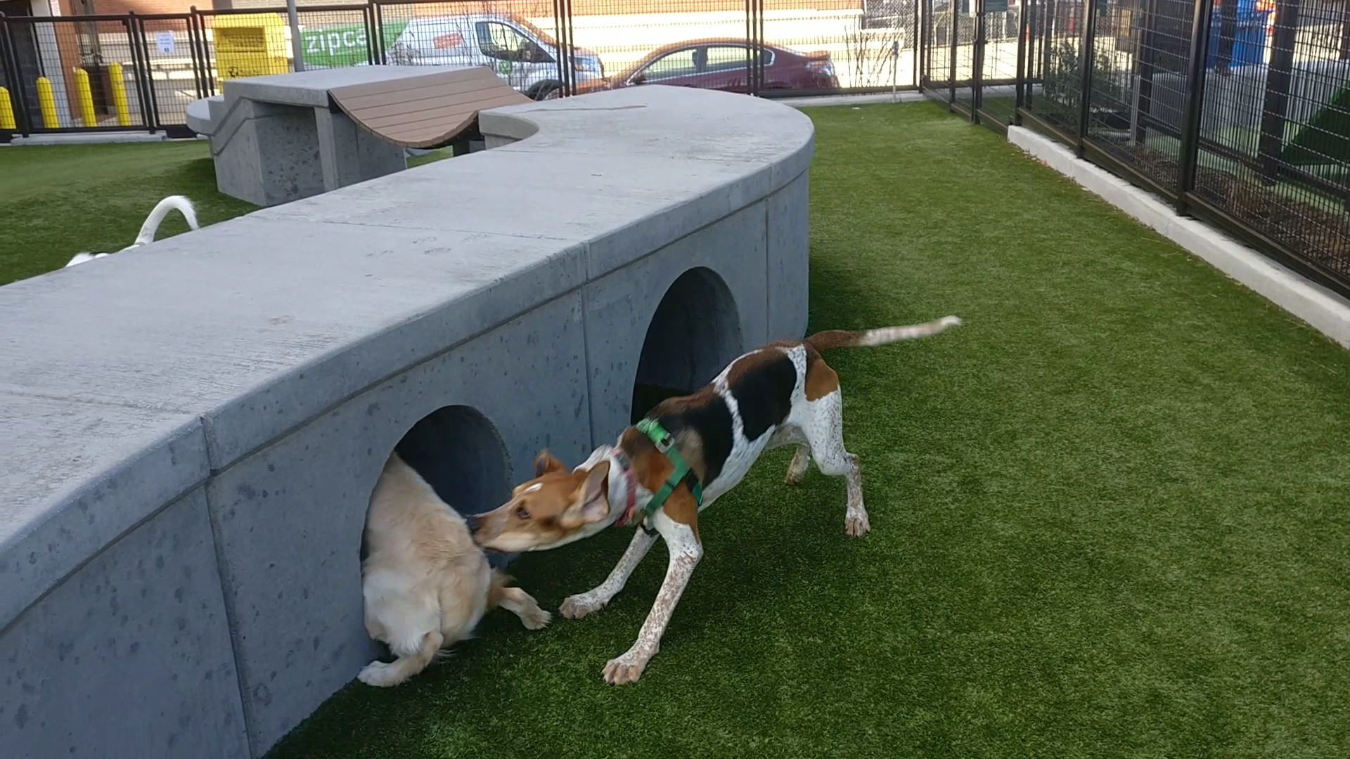 Swampoodle Dog Park & Playground photo 2
