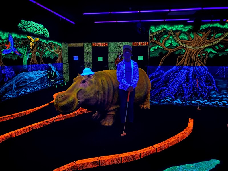 Swingin' Safari Mini Golf, LLC photo 2