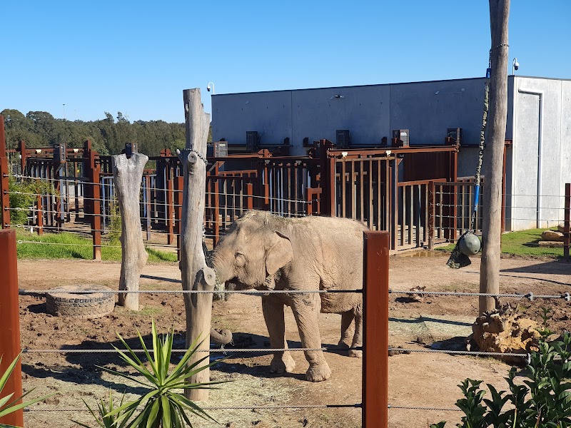 Sydney Zoo