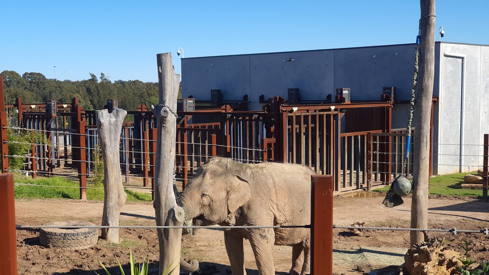 Sydney Zoo