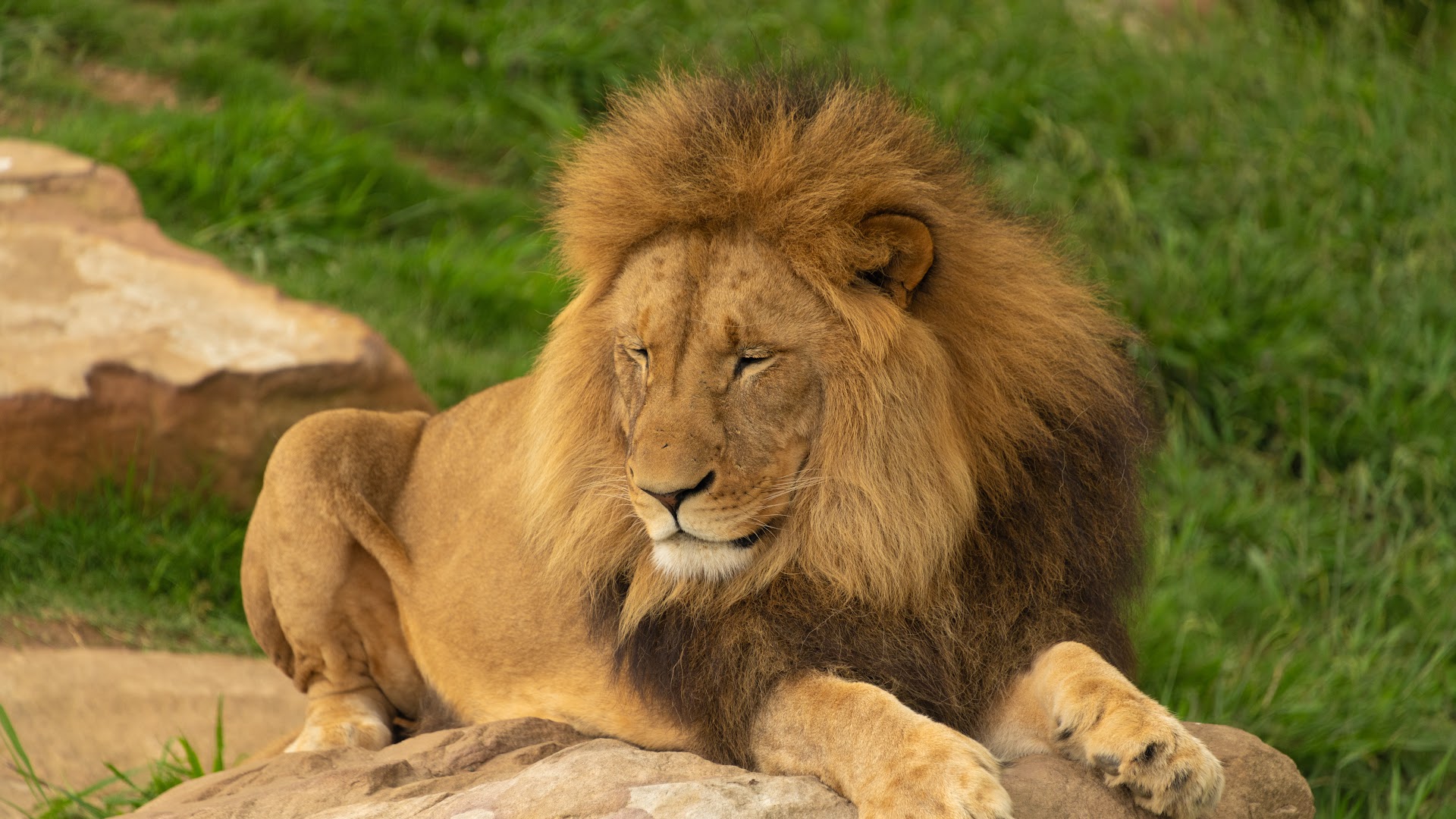 Sydney Zoo photo 3