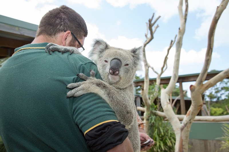 Symbio Wildlife Park photo 2