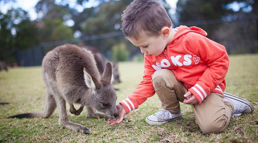 Symbio Wildlife Park photo 3