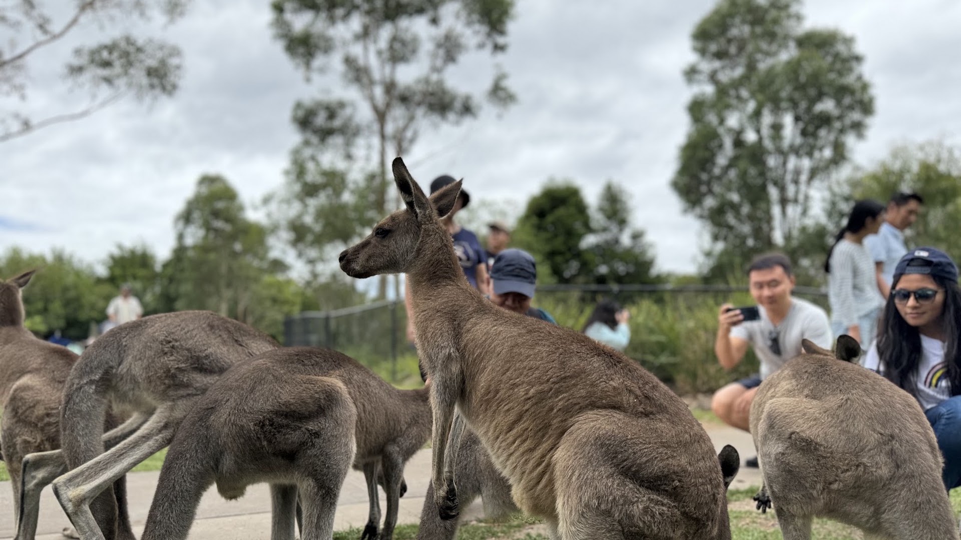 Symbio Wildlife Park photo 2