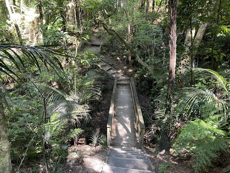 Tōtara Park Adventure Playground photo 3