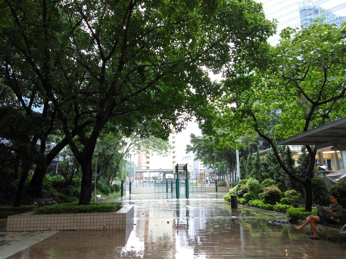 Tai Lin Pai Road Playground photo 3