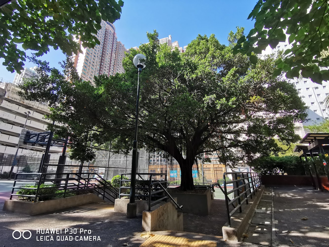 Tai Loong Street Playground photo 3