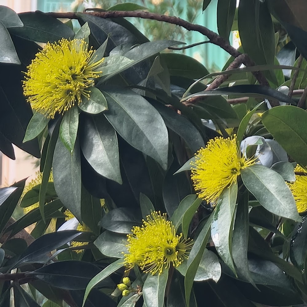 Tai Loong Street Playground photo 4