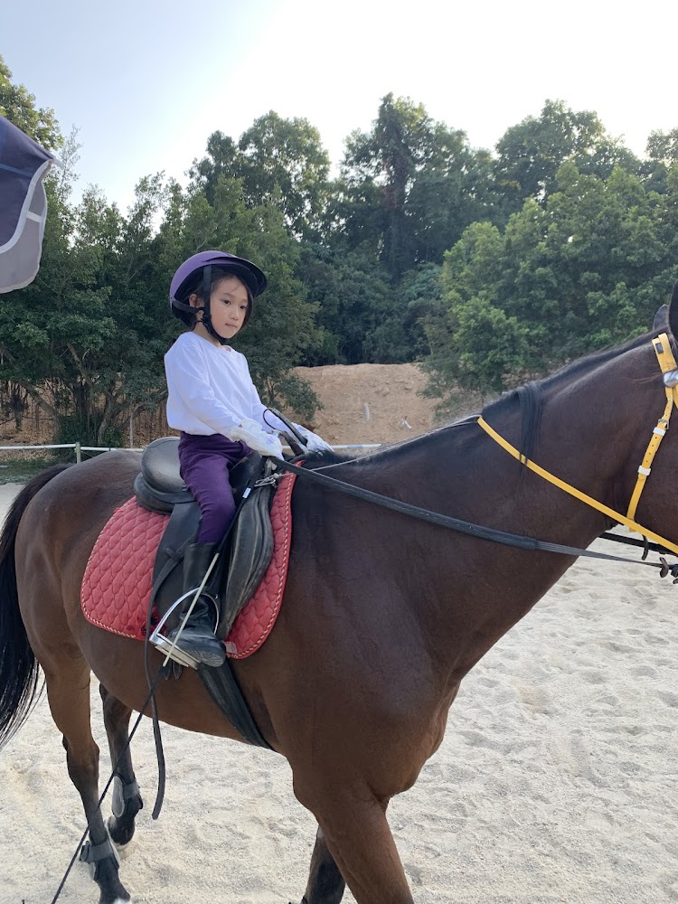 Tai Tong Riding Club photo 5