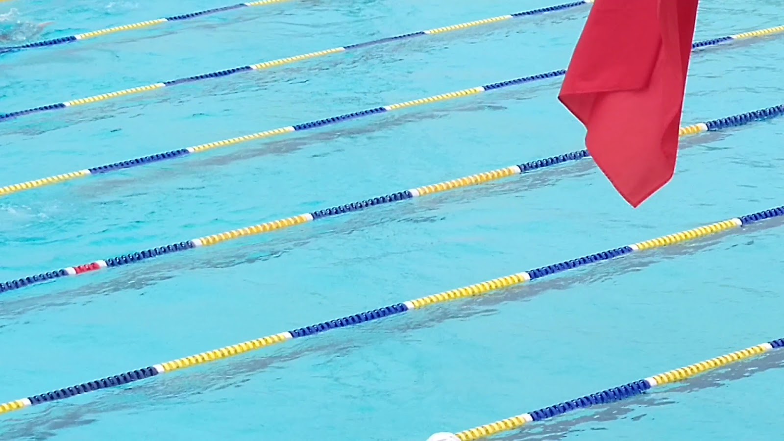 Tai Wan Shan Swimming Pool photo 3