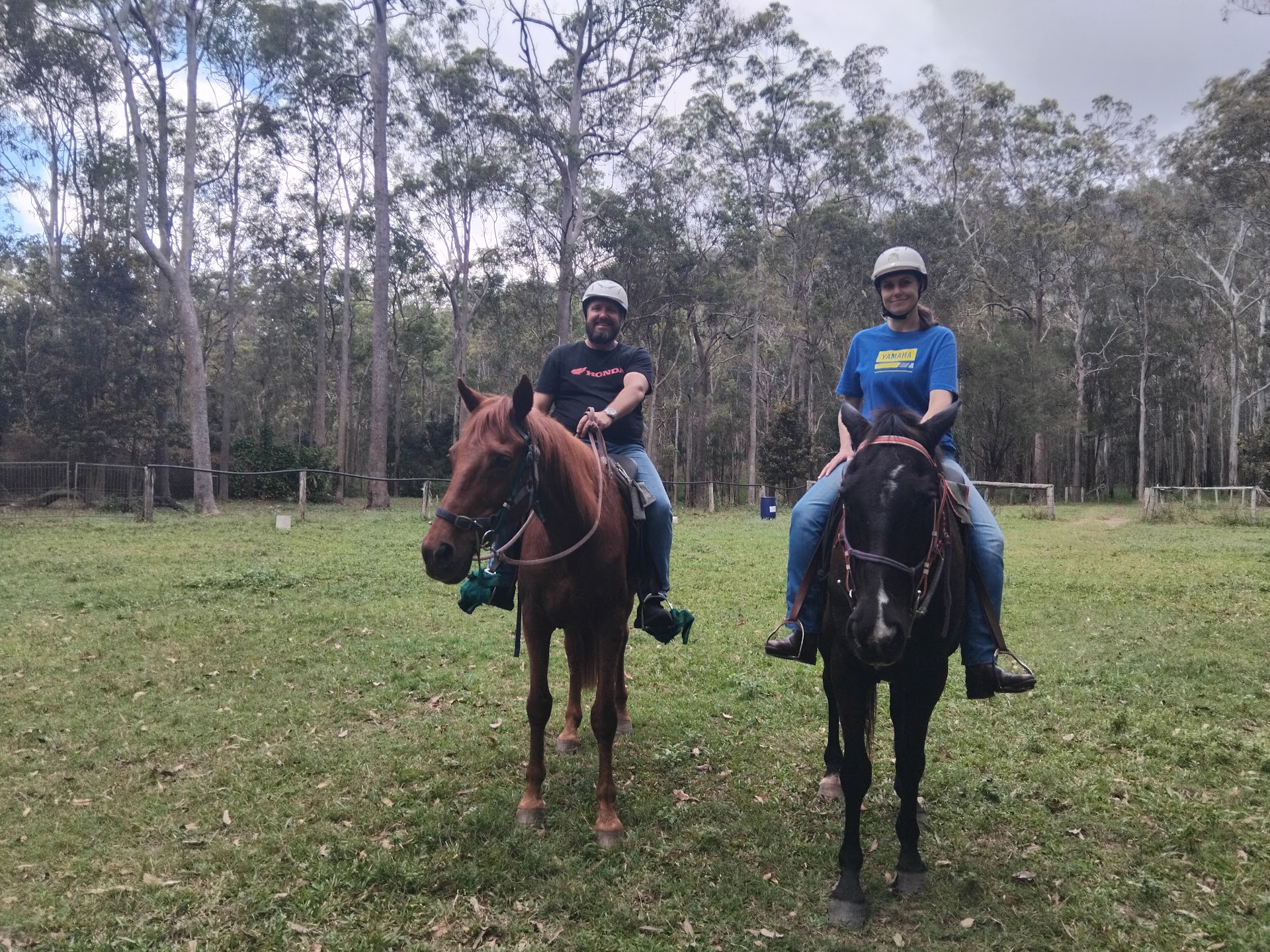 Tait's Wongabel Stables