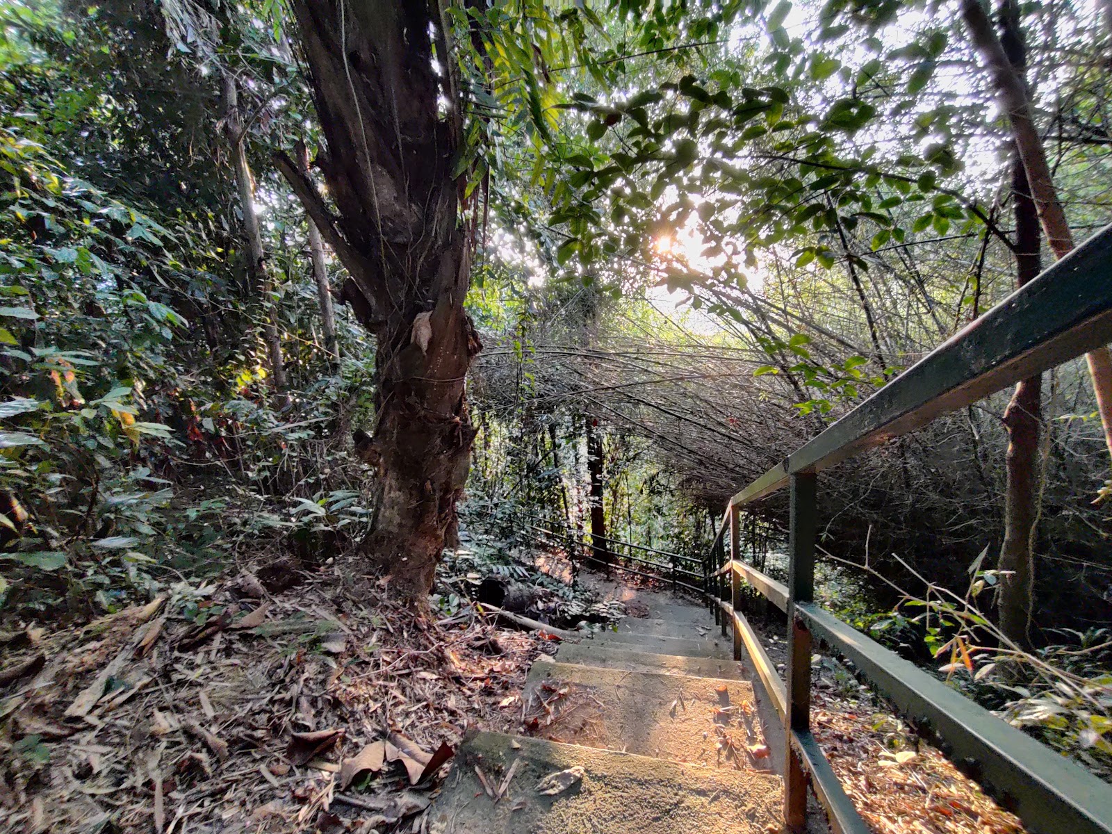 Taman Rekreasi PBAPP Bukit D.O. photo 2
