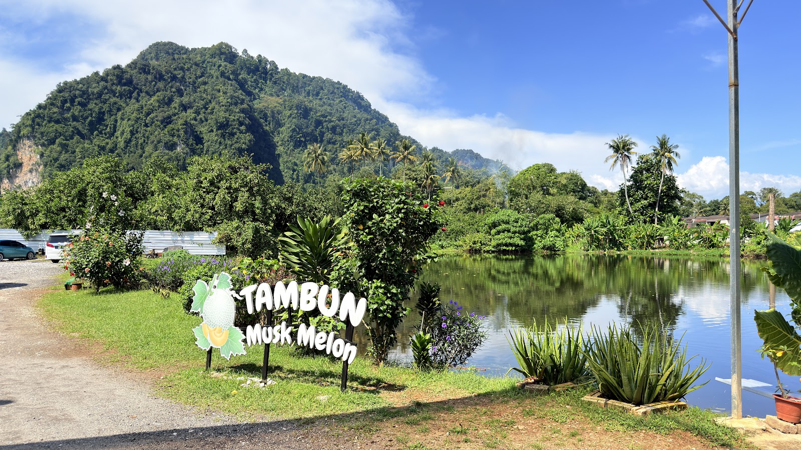 Tambun Musk Melon Agro Farm photo 2