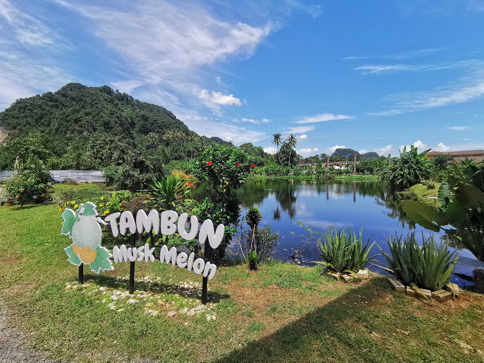 Tambun Musk Melon Agro Farm photo 3