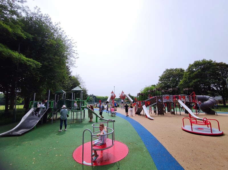 Tamworth Castle Playground