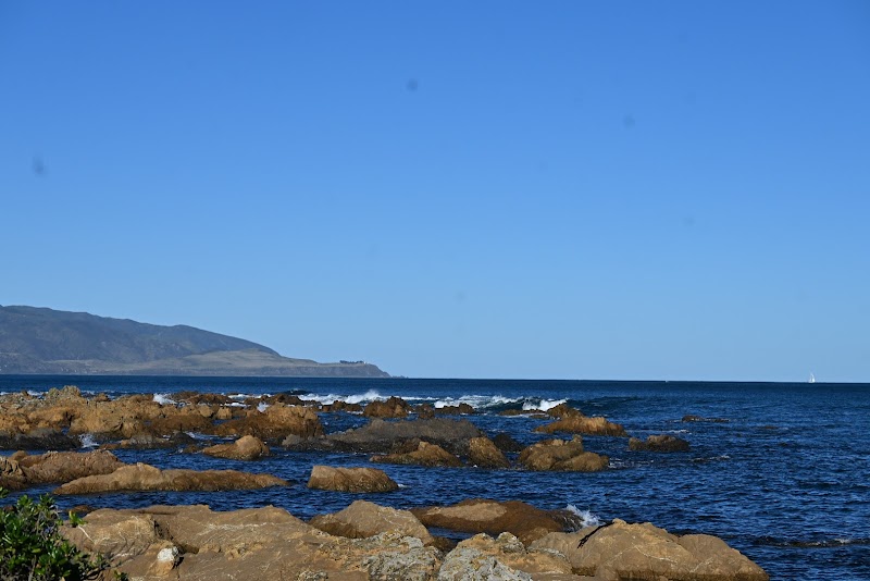 Taputeranga Snorkel Trail