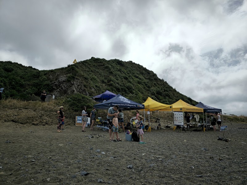 Taputeranga Snorkel Trail photo 2
