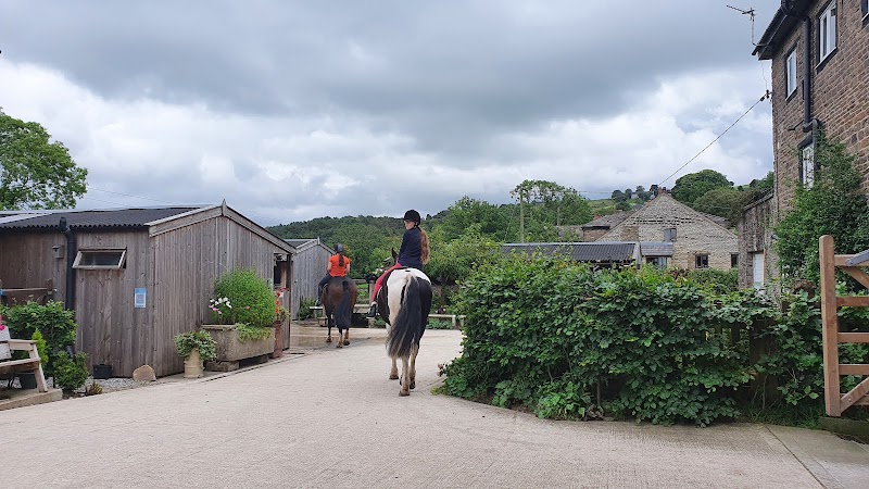 Tarden Farm Riding Stables photo 2