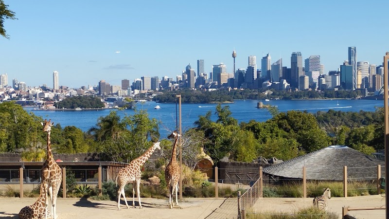 Taronga Zoo Sydney photo 2