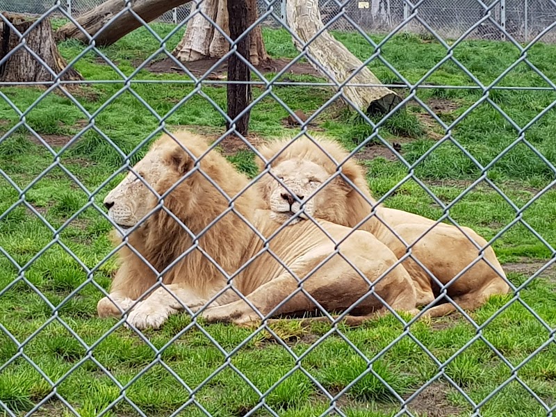 Tasmania Zoo photo 2