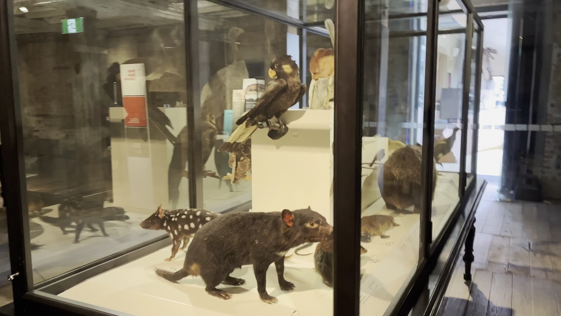 Tasmanian Museum and Art Gallery