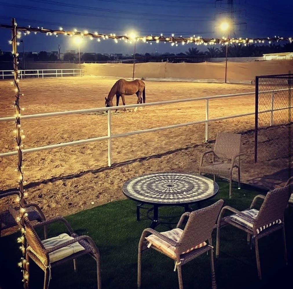 Tatra Stables photo 4