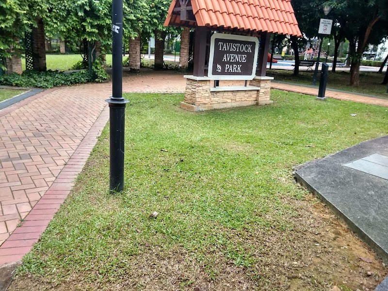 Tavistock Avenue Park Playground photo 2