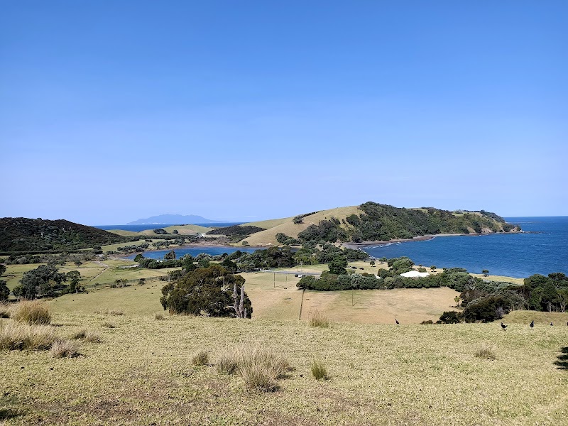Tawharanui Open Sanctuary Society photo 3