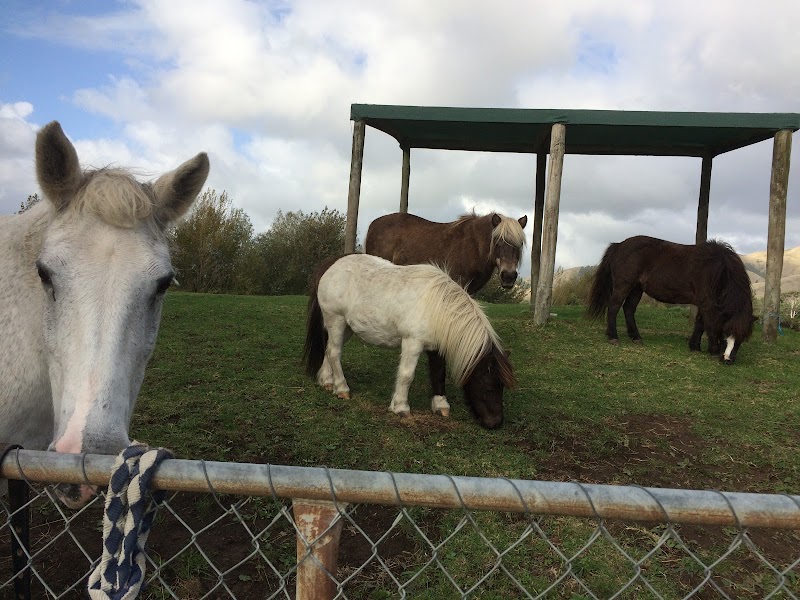 Te Horo Equestrian Centre