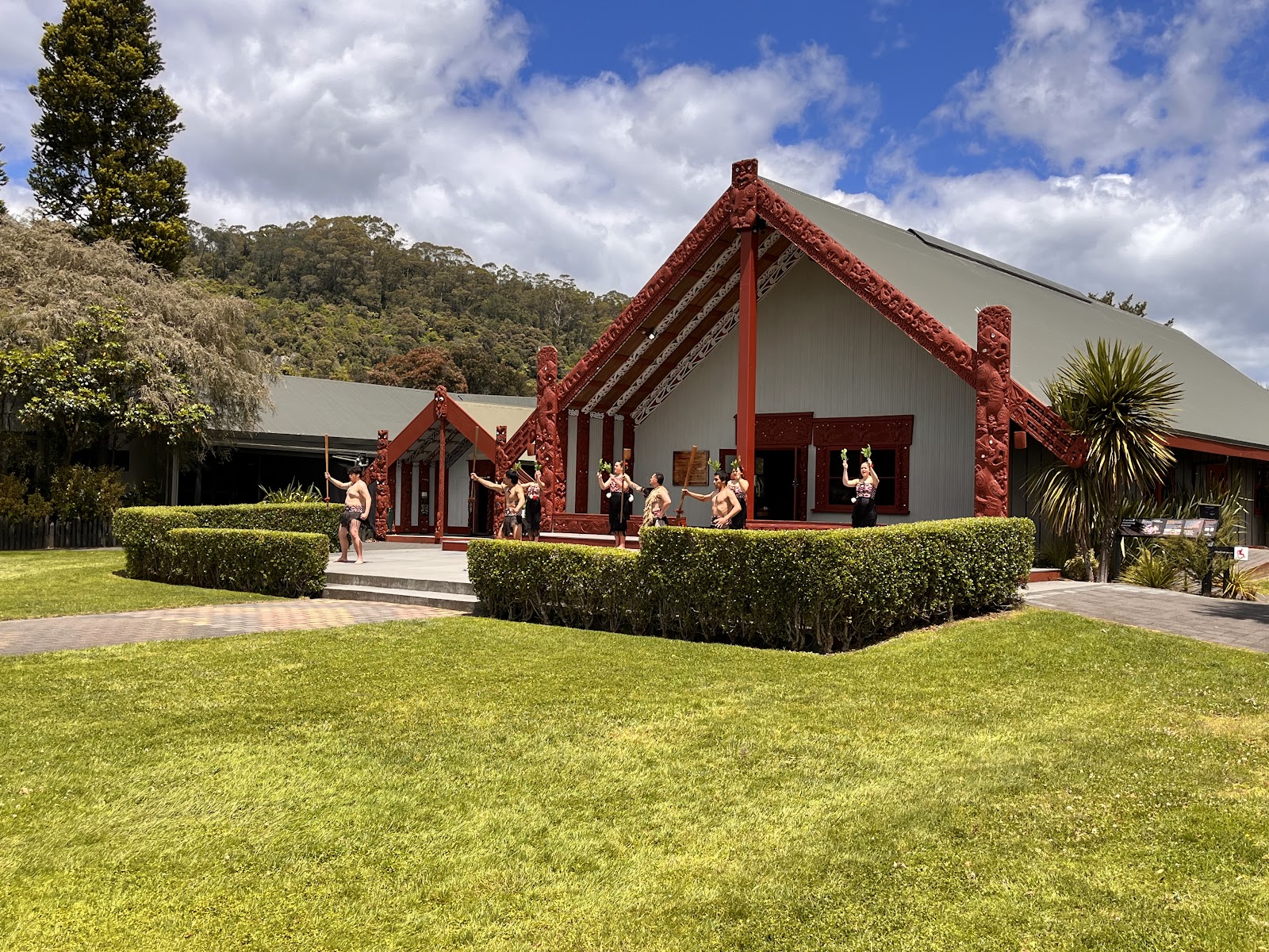 Te Puia photo 2