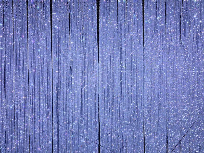 teamLab Future World photo 2