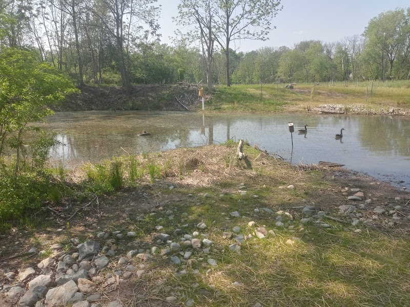 Teaneck Creek Conservancy photo 3