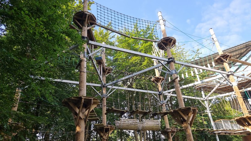 Telford Aerial Adventures