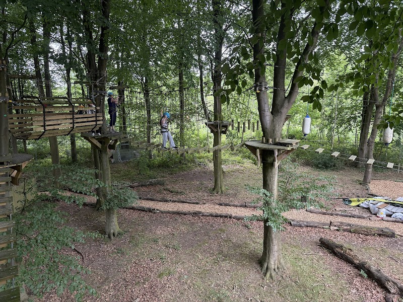 Telford Aerial Adventures photo 3