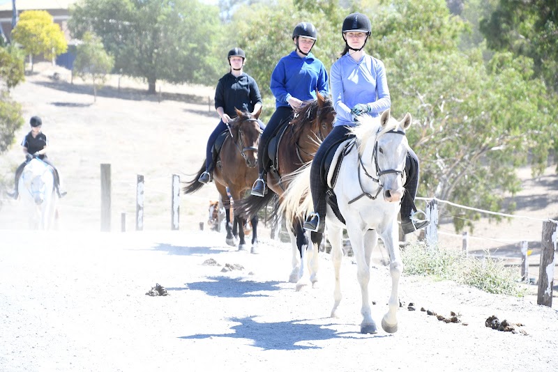 Templewood Horse Riding Centre