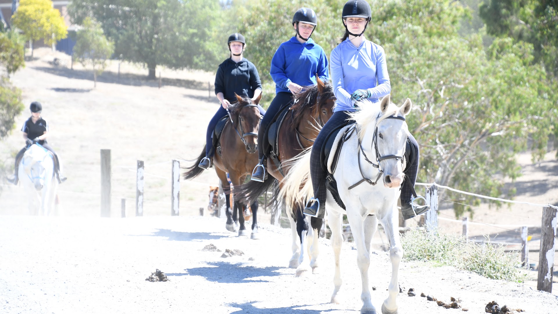Templewood Horse Riding Centre photo 3