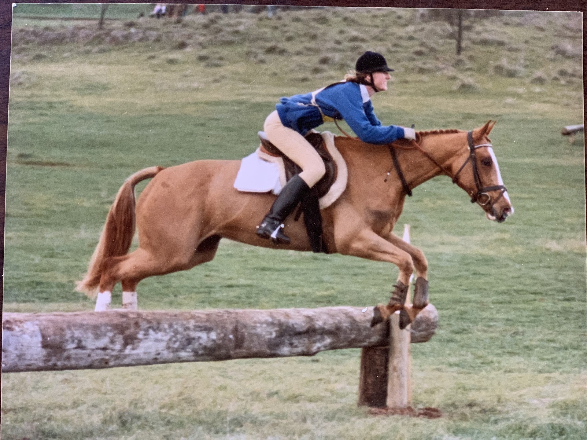 Templewood Horse Riding Centre photo 2