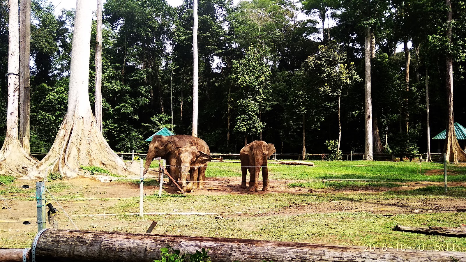 Tengku Hassanal Wildlife Reserve