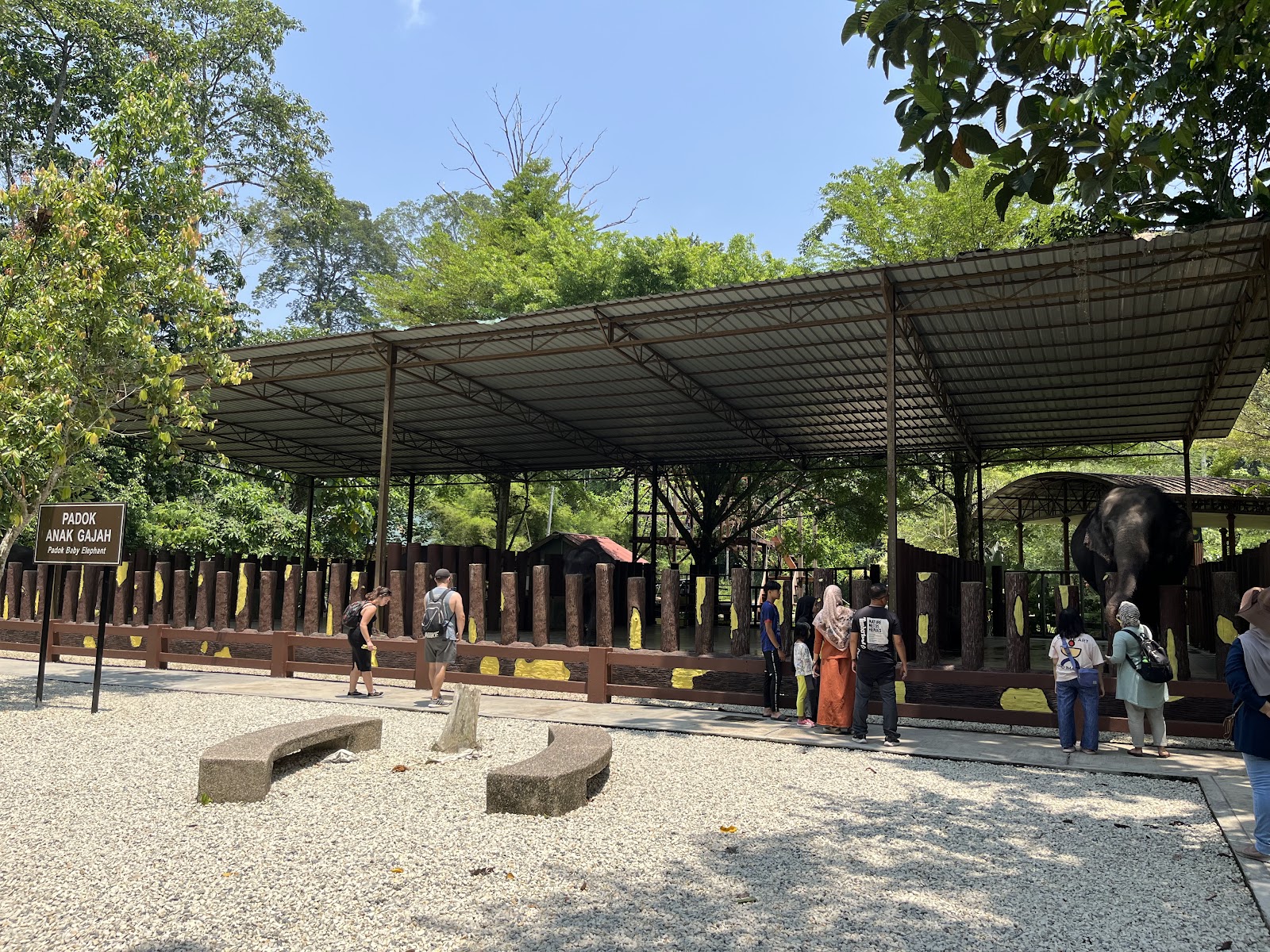 Tengku Hassanal Wildlife Reserve photo 3
